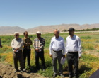 برگزاری رویداد انتقال یافته‌های تحقیقاتی کشاورزی در بروجرد