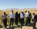 برگزاری رویداد انتقال یافته‌های تحقیقاتی کشاورزی در بروجرد
