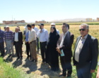 برگزاری رویداد انتقال یافته‌های تحقیقاتی کشاورزی در بروجرد