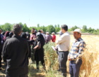 برگزاری رویداد انتقال یافته‌های تحقیقاتی کشاورزی در بروجرد