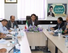 استان اردبیل در مسیر تبدیل‌شدن به قطب تولید بذر کشور/ نقش راهبردی در تقویت امنیت غذایی