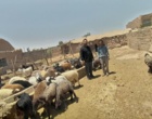 حضور میدانی محقق معین مرکز سمنان در دهستان کردوان
