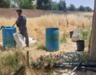 اجرای عملیات جامع به‌زراعی در باغ زیتون ایستگاه تحقیقات چندمنظوره «سراب چنگایی خرم‌آباد»