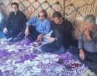ترویج دانش فنی و بهداشت دام؛ گامی برای توانمندسازی جامعه عشایری