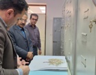 ظرفیت‌های کردستان در زنجیره پژوهش، تولید و گواهی بذر بررسی شد