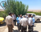 تأکید بر مدیریت جامع آفات، بهداشت باغ و تغذیه تلفیقی برای افزایش کیفیت محصول
