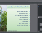 وبینار آموزشی با موضوع اهمیت و نکات فنی تولید سورگوم