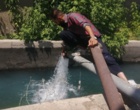 هشدار معاون مرکز تحقیقات کشاورزی لرستان درباره تبعات خاموشی‌های مکرر بر مزارع الگویی و تحقیقاتی الیگودرز / ضرورت تفکیک زیرساخت‌های پژوهشی کشاورزی از جدول قطعی برق