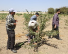 پیوند دانش و مهارت در نهالستان؛برگزاری دومین روز نخستین دوره مهارت‌آموزی با رویکرد تربیت مربی