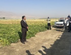 لرستان، کانون تبادل دانش کشاورزی؛ برگزاری رویداد ملی انتقال یافته‌های نوین تحقیقاتی در بروجرد و ازنا