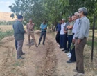 «روز مزرعه»؛ فرصتی برای ترویج راهکارهای علمی در مدیریت پایدار منابع