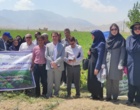 برگزاری رویداد ملی-استانی «زراعت نوین لوبیا» در قطب تولید محصول لرستان؛ از معرفی ارقام پربازده تا مدیریت نوین آفات در مزارع ازنا