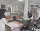 هیچ پروانه‌ای بدون آزمایش از چرخه تکثیر عبور نمی‌کند