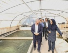 بازدید از مجموعه پرورش ماهیان گرمابی، سردابی و خاویاری قم