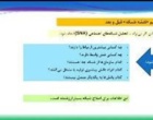 برگزاری دوره آموزشی «برنامه جامع شبکه‌سازی در نظام آموزش و ترویج کشاورزی ایران»