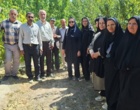 برگزاری کارگاه آموزشی مدیریت زمستانه آفات و بیماری‌های خسارت‌زا در باغات در شهرستان تفرش