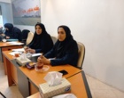 برگزاری دومین کمیته فنی ترویج محصولات فناورانه با محوریت توسعه کشت مکانیزه و بازار زعفران