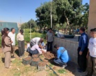 کارگاه آموزشی پرورش زعفران با هدف توسعه آموزش‌های مهارتی و انتقال دانش کاربردی کشاورزی، با حضور فراگیران و دانش‌آموزان در پردیس آموزش کشاورزی سقز برگزار شد.
