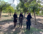 بازدید محققین مرکز تحقیقات و آموزش کشاورزی و منابع طبیعی استان کرمان از شهرستان رابر