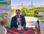 تحلیل و بررسی جایگاه الگوی کشت ملی در لرستان: ضرورت هم‌افزایی دانش پژوهشی و مدیریت به‌زراعی در مزارع پیشرو