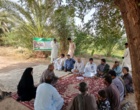 برگزاری دوره آموزشی «ردیابی و مقابله با سوسک حنایی خرما»