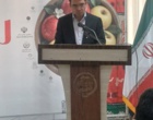 پنل تخصصی رویداد دانش‌بنیان سیب شیروان، امروز در محل هتل رضا شیروان برگزار شد.