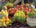 پنل تخصصی رویداد دانش‌بنیان سیب شیروان، امروز در محل هتل رضا شیروان برگزار شد.