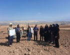 گامی نوین در مدیریت مکانیزاسیون و غلات دیم با اجرای طرح شبکه مزارع الگویی در لرستان