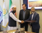 ربانی‌نسب: امنیت غذایی کشورهای همسایه در گرو همکاری‌های علمی و تبادل فناوری است