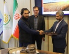 ربانی‌نسب: امنیت غذایی کشورهای همسایه در گرو همکاری‌های علمی و تبادل فناوری است