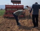 کشت ۵ هکتار مزرعه بذری کلزا رقم نیلوفر در لرستان/ تامین بذر گواهی‌شده مورد نیاز مناطق سرد و معتدل استان برای سال زراعی آینده