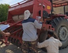 کشت ۵ هکتار مزرعه بذری کلزا رقم نیلوفر در لرستان/ تامین بذر گواهی‌شده مورد نیاز مناطق سرد و معتدل استان برای سال زراعی آینده