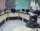 تأکید بر گذار به تولید نهال پیوندی انگور در کشور