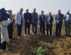 تحول در تولید کنجد ایران؛ از اصلاح‌نژاد برای برداشت مکانیزه تا بازنگری در سیاست‌های قیمتی