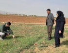 نشست تبیین طرح ملی شبکه مزارع الگویی در مرکز جهاد کشاورزی دیناروند برگزار شد؛ تأکید بر ارتقای دانش کشاورزان و افزایش بهره‌وری در عرصه تولید