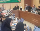 گام‌های مؤثر مؤسسه تحقیقات باغبانی در خوداتکایی بذر و ارتقای بهره‌وری تولیدات باغی