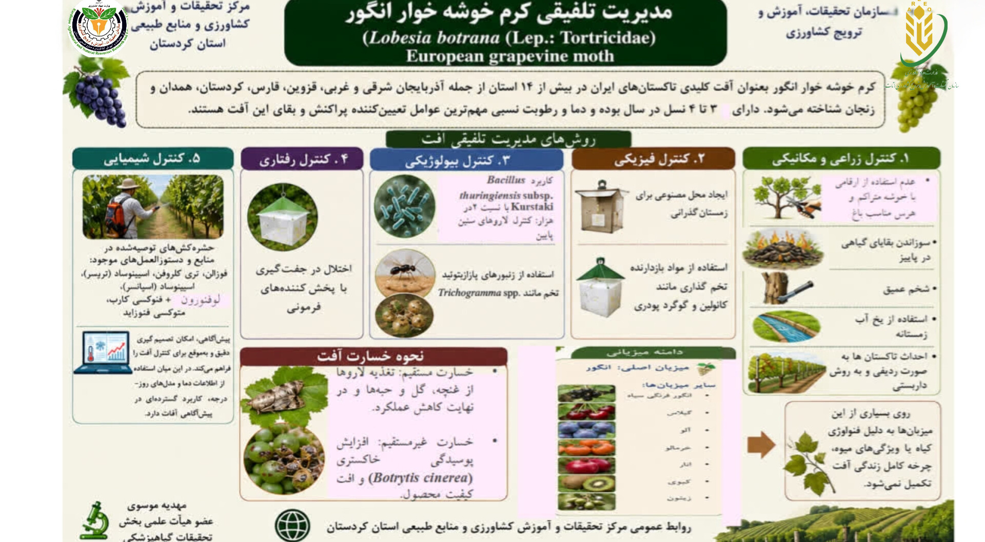 معرفی راهکارهای مدیریت تلفیقی برای کاهش خسارت کرم خوشه‌خوار انگور و کمک به تولید محصول سالم و پایدار
