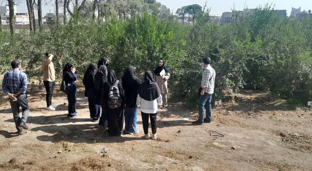 بازدید دانشجویان رشته باغبانی دانشگاه اراک از پردیس تحقیقات و آموزش انار ساوه