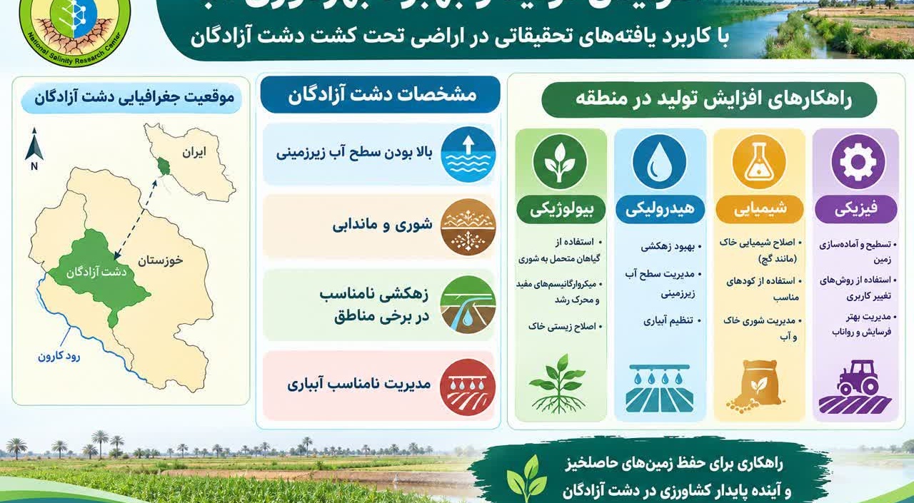 افزایش تولید با کاربرد یافته‌های تحقیقاتی در شرایط شور دشت آزادگان
