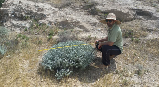 آماربرداری و نمونه‌برداری میدانی از مراتع استان بوشهر در چارچوب طرح ملی پایش