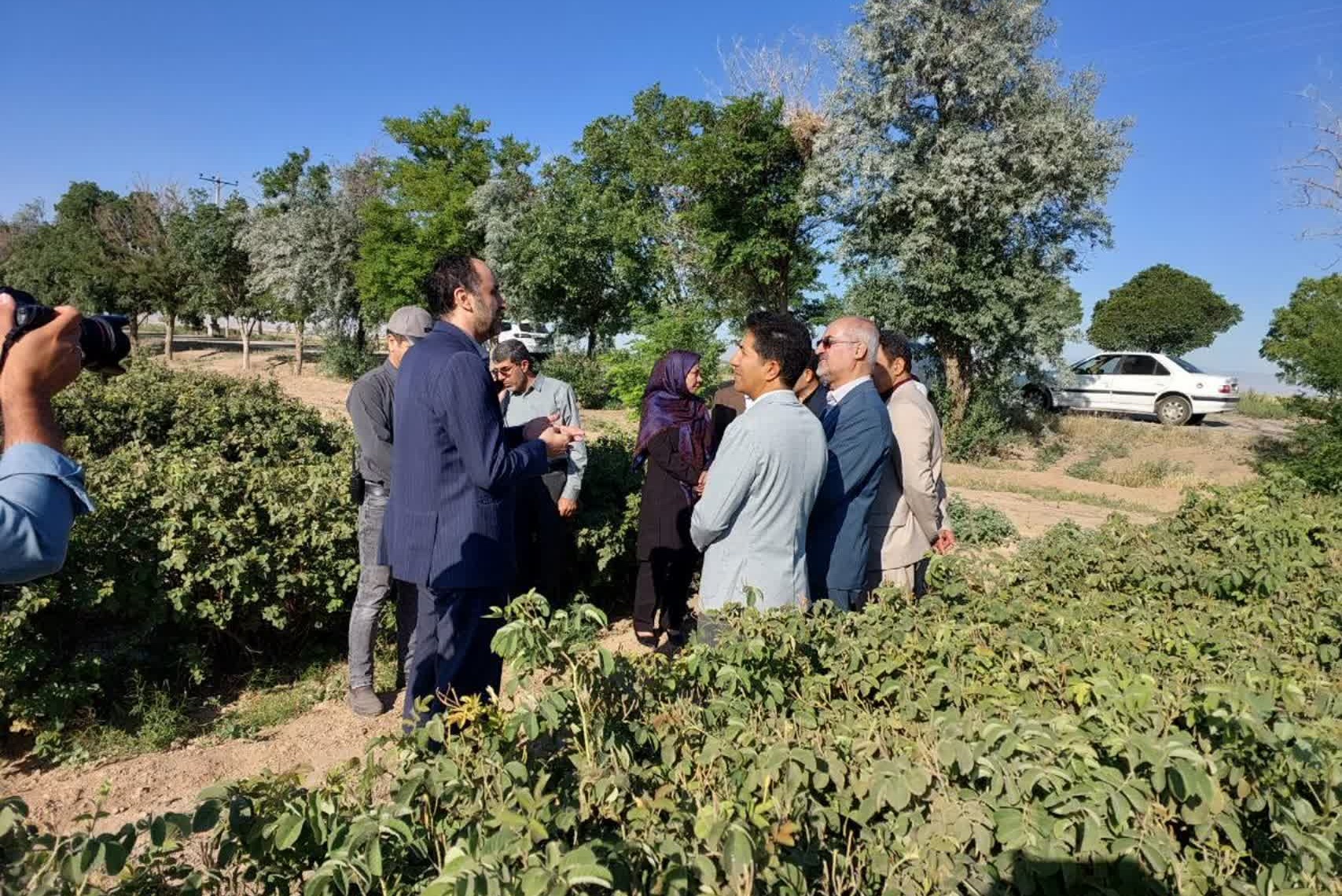 بازدید معاون سازمان تات؛ از توسعه کشت گلمحمدی تا توانمندسازی زنان روستایی