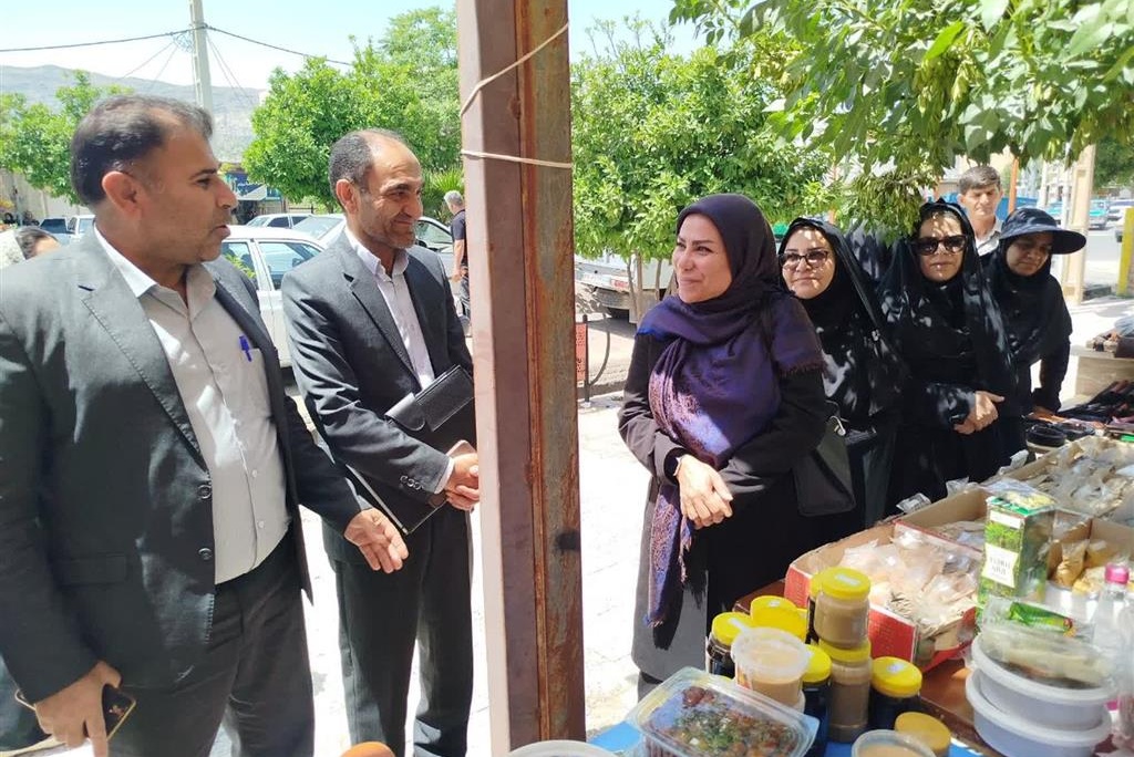 بازدید مدیرکل دفتر توسعه فعالیتهای کشاورزی زنان روستایی از طرحهای نوآورانه در ایلام