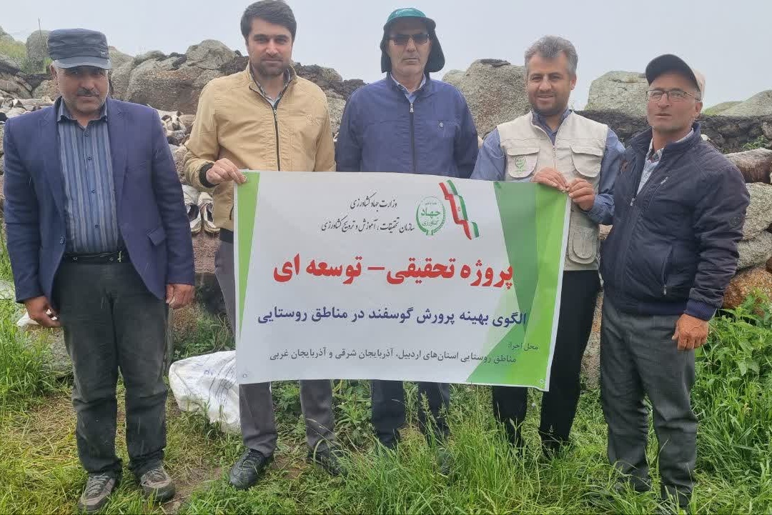 بهبود ۱۵ درصدی تولید بره در گلههای روستایی و عشایری سبلان