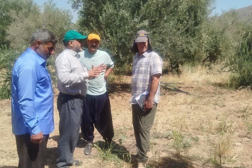 کارگاه آموزشی «شناخت چالشهای زیستی پسیل زیتون و مدیریت علمی کنترل آن» برگزار شد