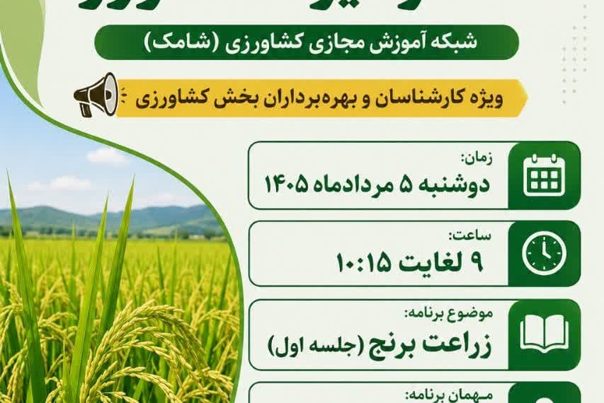 «زراعت برنج» روی آنتن شامک رفت؛ انتقال دانش کاربردی از زبان مدرس مرکز تات لرستان