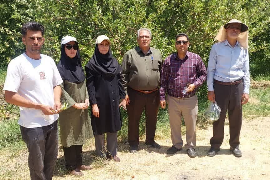 از ارزیابی فنی تا معرفی الگو؛ باغ سیب آموزگار در مسیر نمونه شدن