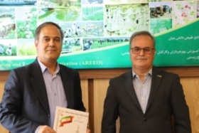 انتصاب قطعی دکتر حسن مومنی به عنوان مدیر کل دفتر ارتباطات علمی و همکاری‌های بین المللی