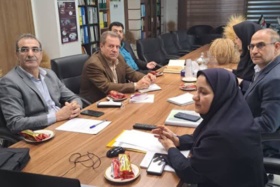 ارزیابی موفق طرح «کاهش خلأ عملکرد گندم» در نشست هم‌اندیشی معاونت زراعت