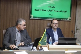 تاکید معاون سازمان تات؛بر اجرای دقیق برنامه‌ها و پیگیری مصوبات