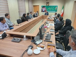 نشست تخصصی طرح الگویی «تثبیت بیابان هندیجان» برگزار شد